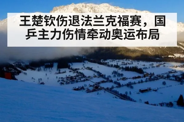 王楚钦伤退法兰克福赛，国乒主力伤情牵动奥运布局